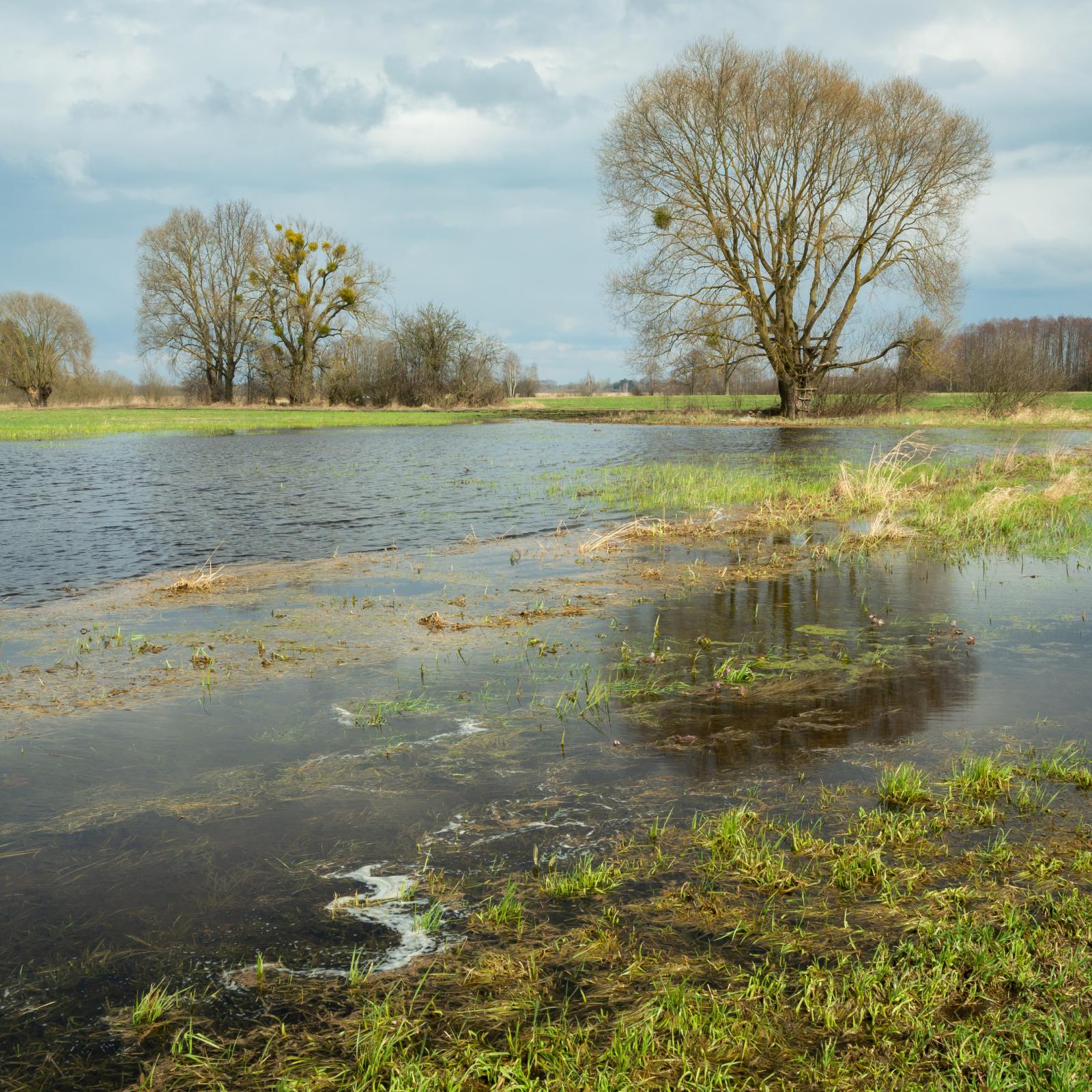 Ekstremregn – sådan gør du