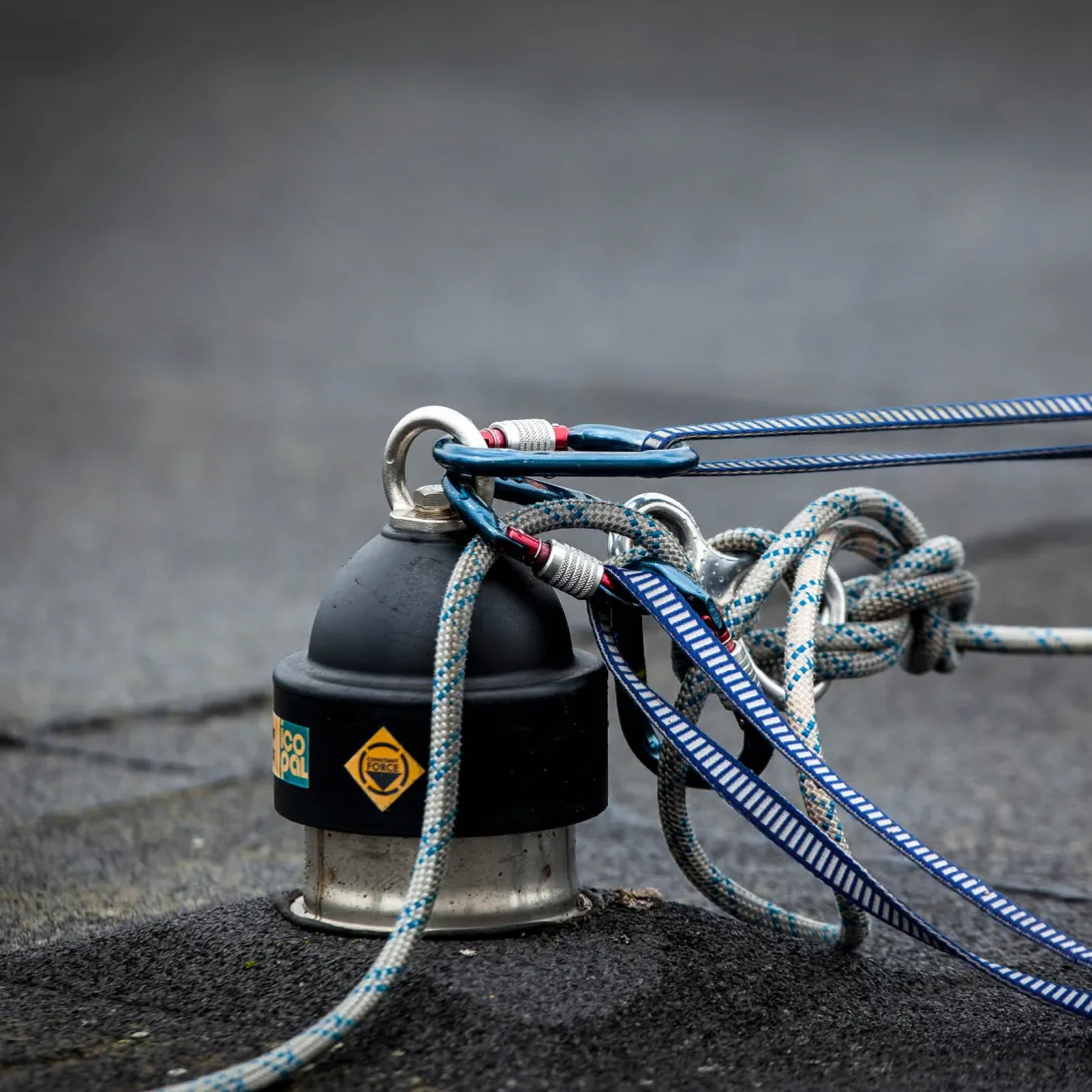 Strategiproces om grøn omstilling til Aalborg Kommune 