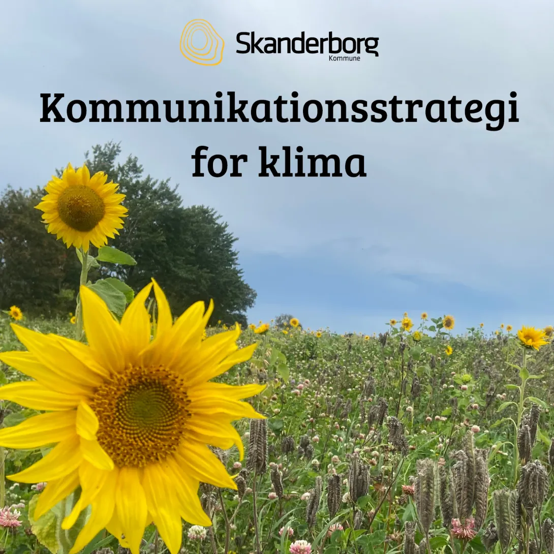 Ny strategi startede ude hos borgerne til Skanderborg Kommune 